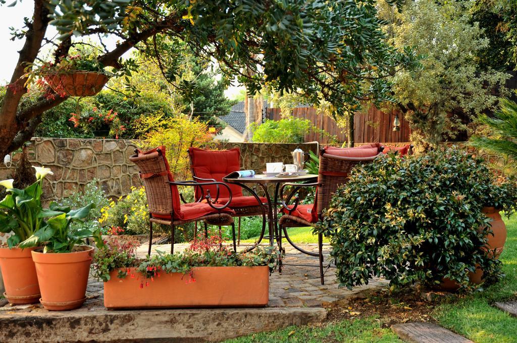 יוהנסבורג Claires Of Sandton Luxury Guest House מראה חיצוני תמונה