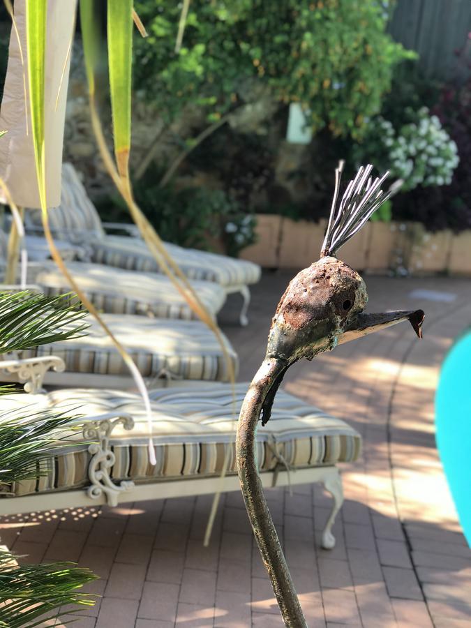 יוהנסבורג Claires Of Sandton Luxury Guest House מראה חיצוני תמונה