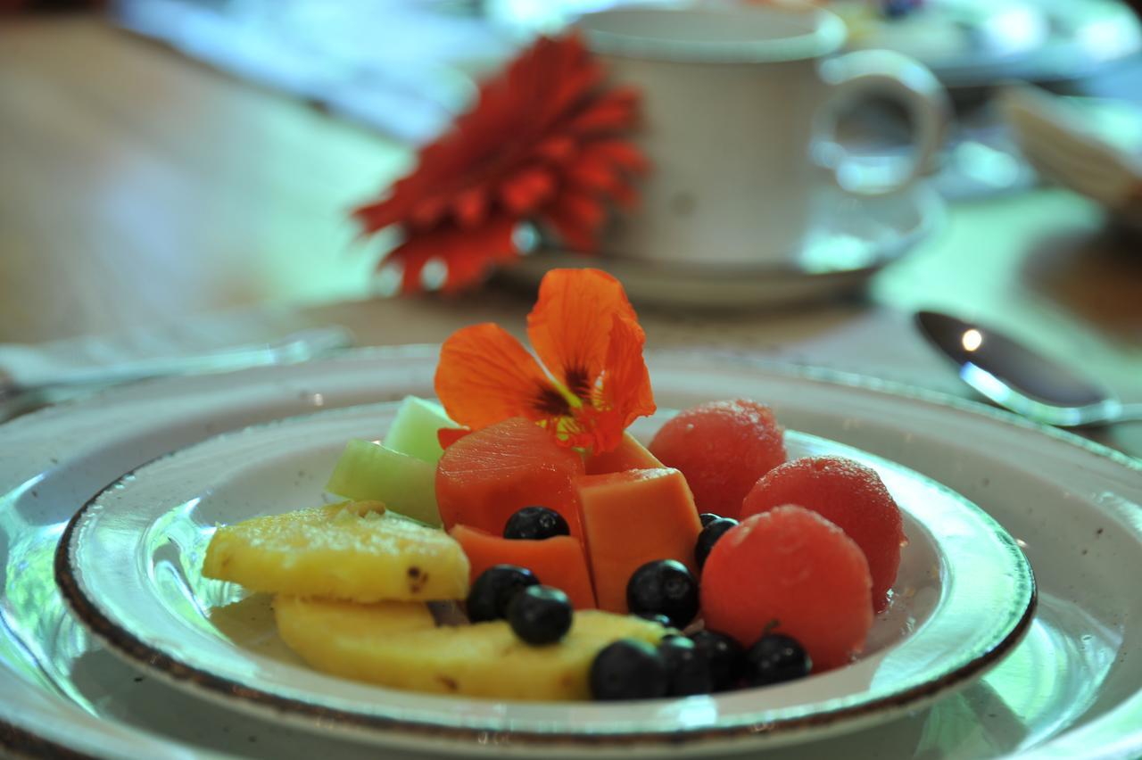 יוהנסבורג Claires Of Sandton Luxury Guest House מראה חיצוני תמונה