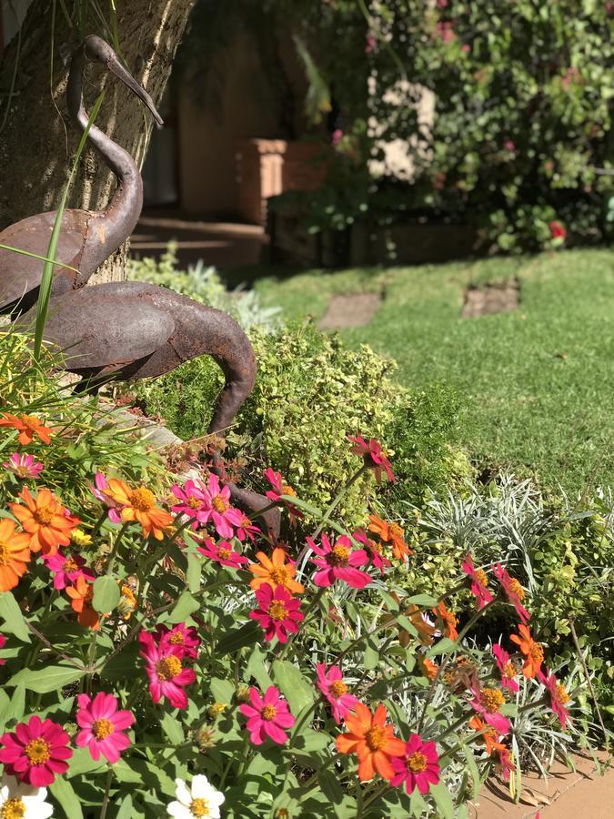 יוהנסבורג Claires Of Sandton Luxury Guest House מראה חיצוני תמונה
