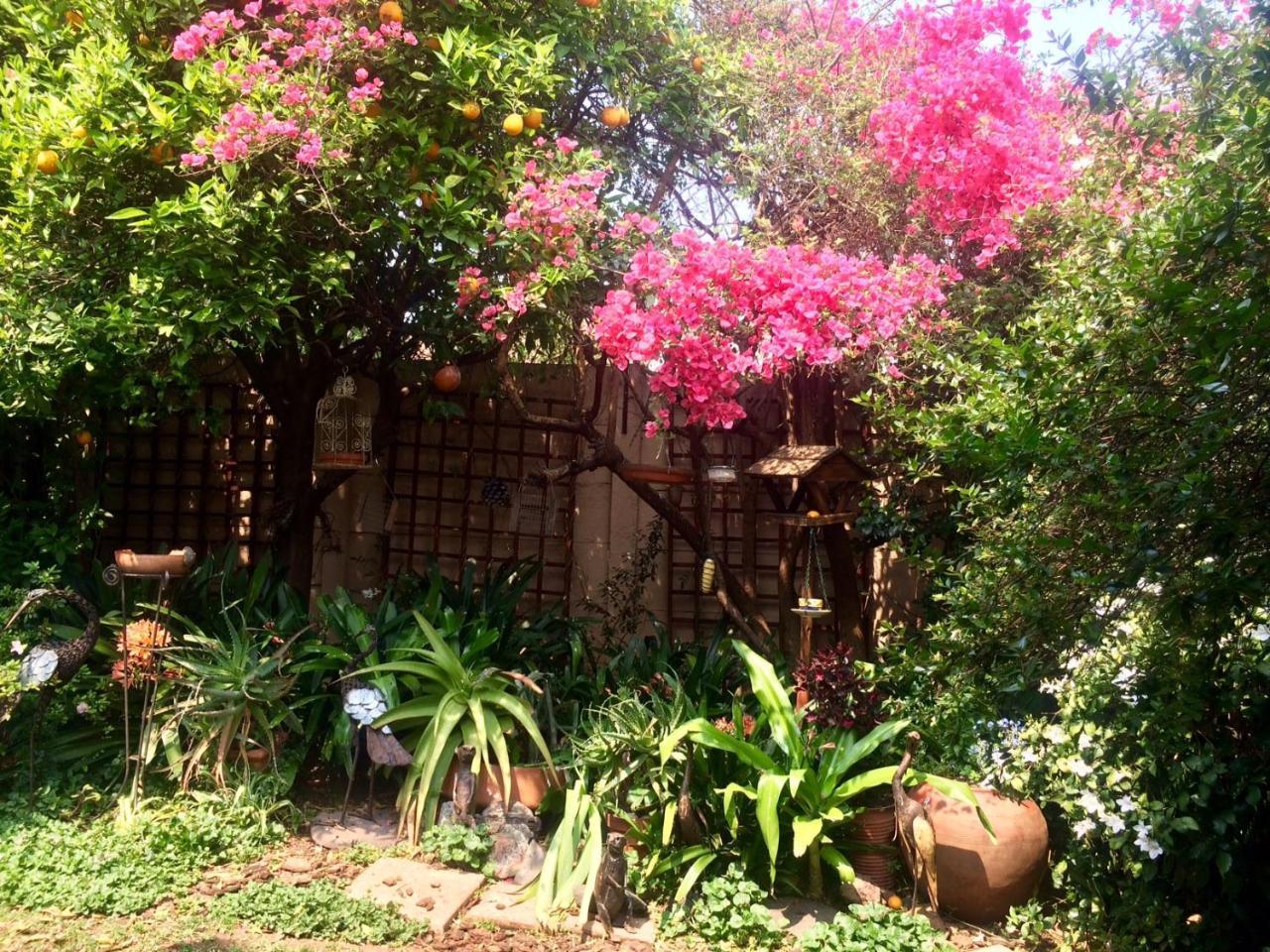יוהנסבורג Claires Of Sandton Luxury Guest House מראה חיצוני תמונה